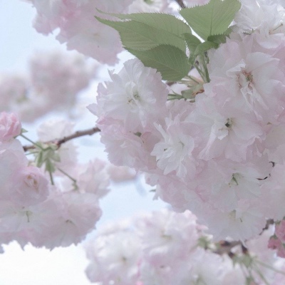兽设雨夜场景绘制兽圈社群